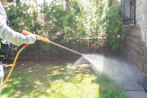 Best Mosquito Control Services  in North Springfield, VA